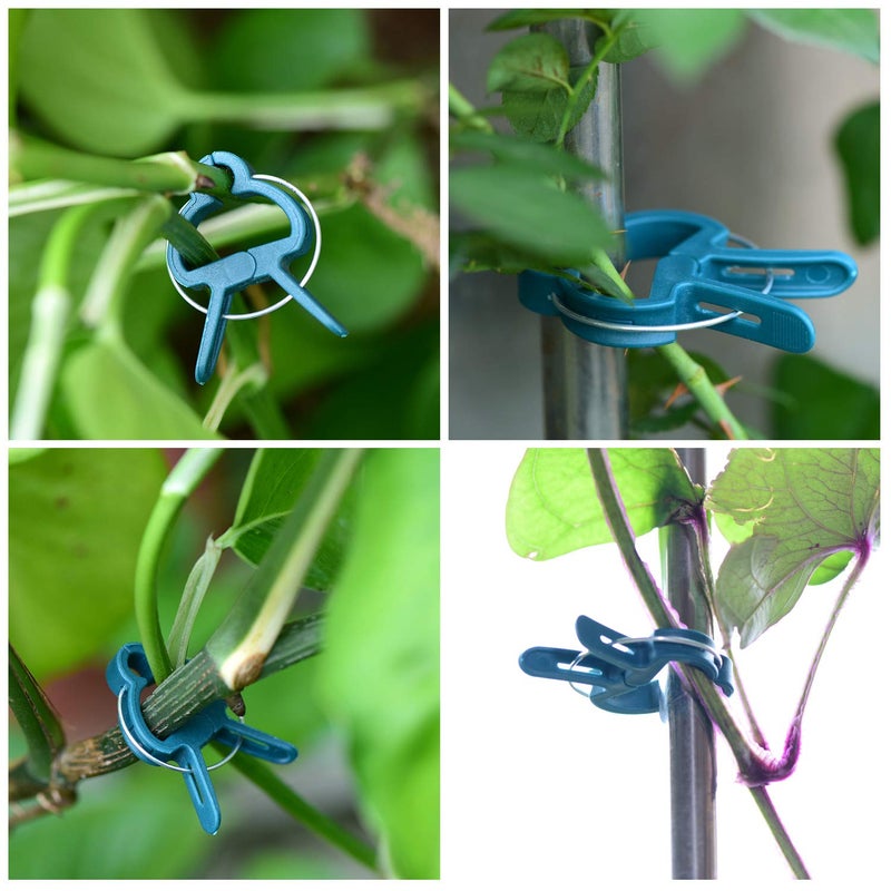 PERSZEN 60PCS Plant Clips 2 Sizes Adjusting Reusable Garden Plant Supports Clips for Supporting Stems of Flower Vine Vegetables Tomatoes Climbing - Image 4